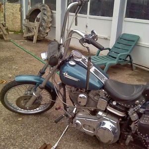 Meet your Posher, Terry